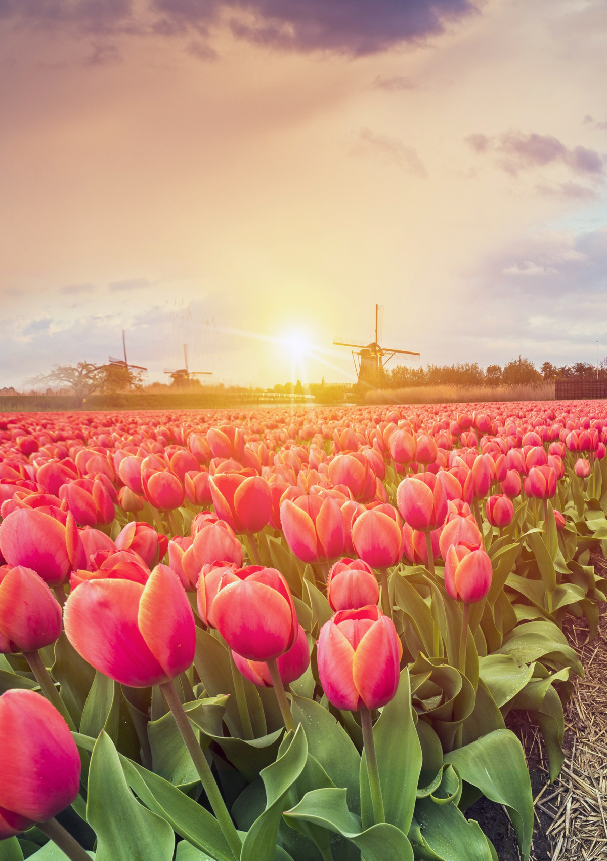popular_destinations_img_1
